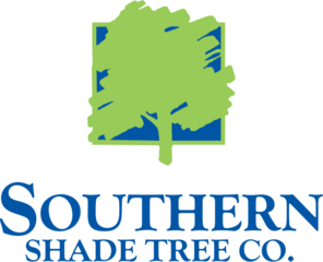 Southern Shade Tree