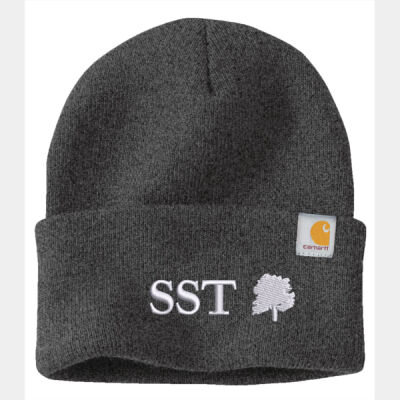 Carhartt Watch Cap 2.0 - CT104597 Thumbnail